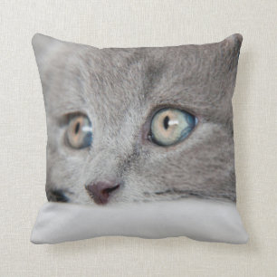 Cat Eyes Throw Pillow