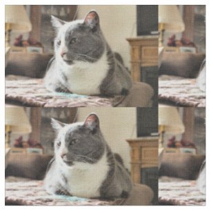 Cat Fabric