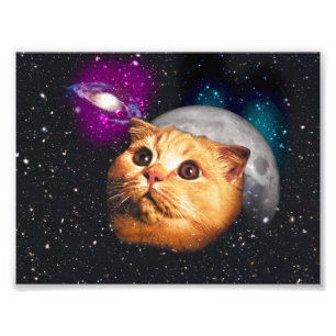 Cat face and the moon photo print