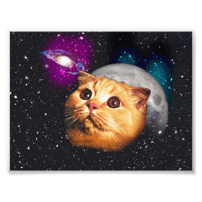 Cat face and the moon photo print (Front)