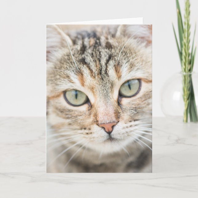 Cat face card (Front)