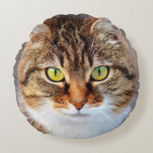 Cat face