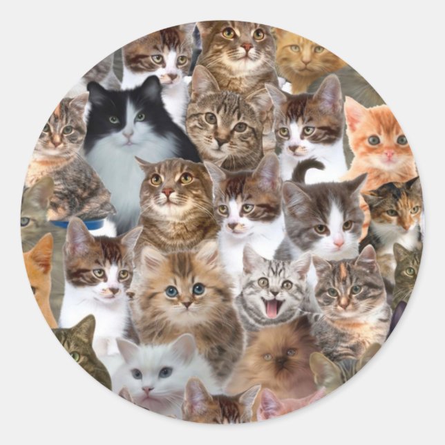 Cat Faces Pattern Classic Round Sticker (Front)