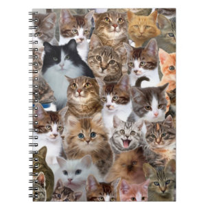 Cat Faces Pattern Notebook