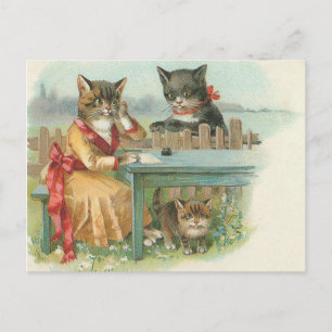 cat family postcard