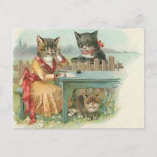 cat family postcard