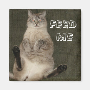Cat "FEED ME" Square Magnet