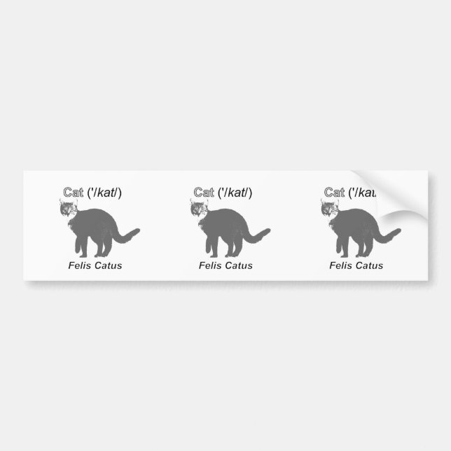 Cat Felis Catus Bumper Sticker (Front)