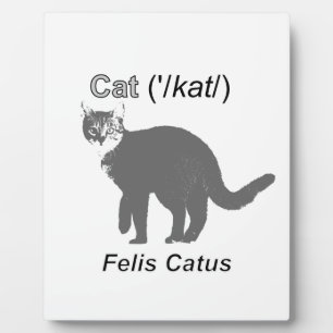 Cat Felis Catus Plaque