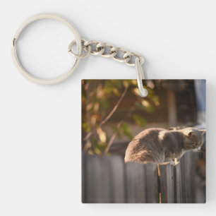 Cat, Fence, Wooden Keychain