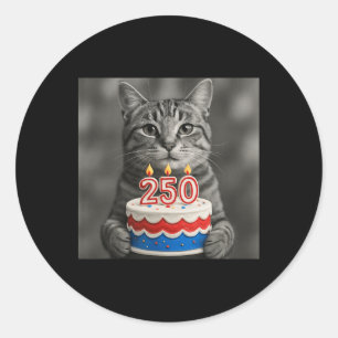 Cat Flag 250 Years 1776-2026 250th Birthday Cake Classic Round Sticker