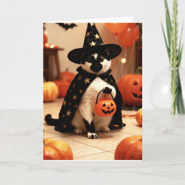 Cat Folded Greeting Card (Front)