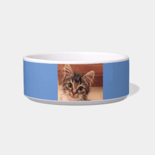 Cat Food, Water Bowl Pet Bowl