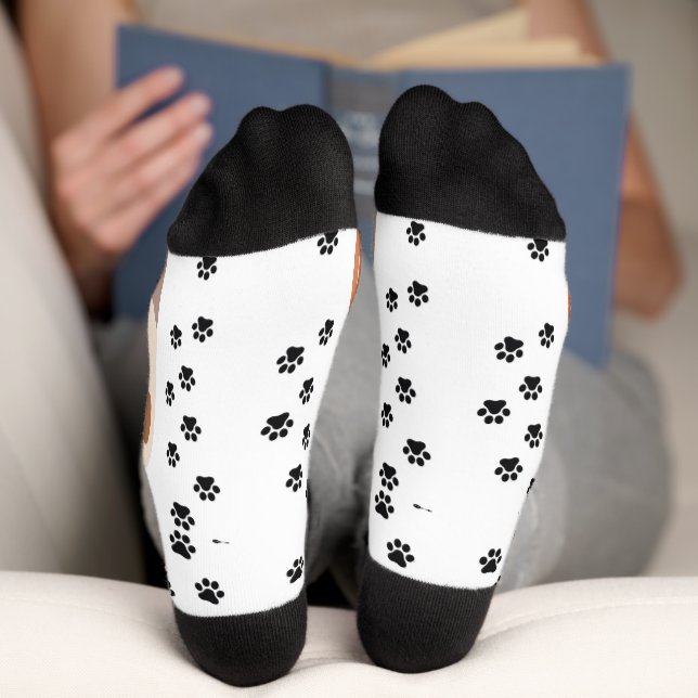 cat foot  socks (Bottom)
