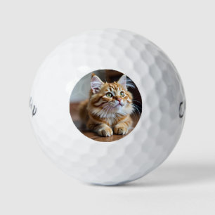 Cat funny golf balls