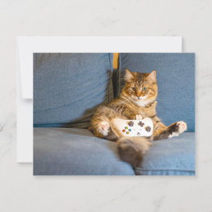 Cat Gamer Postcrossing Postcard