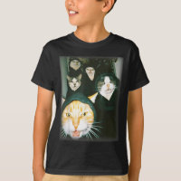 Cat Gang Meme Funny Chaotic Cats Unhinged Feline H