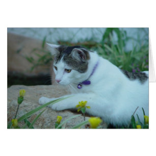 Cat Garden Gazing Greeting Card