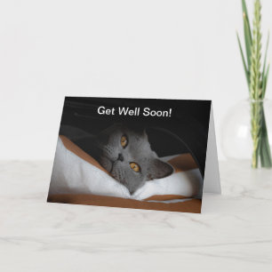 Cat Get Well Soon Customizable Card