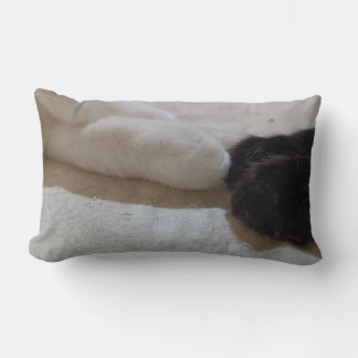 cat god cat man lumbar pillow