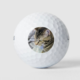 Cat Golf Ball