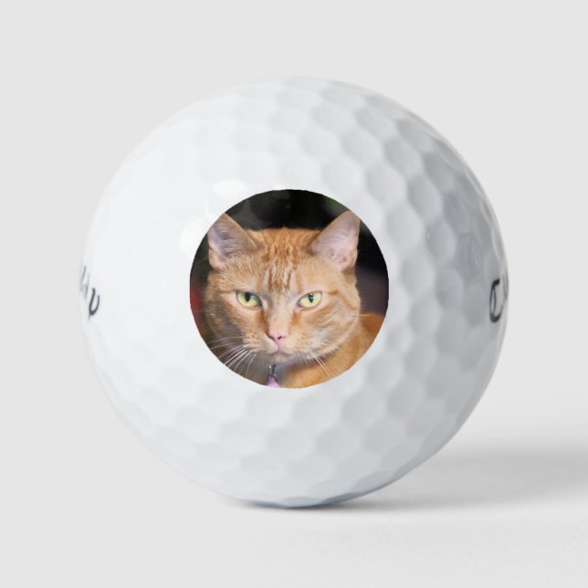 Cat Golf Balls (Front)