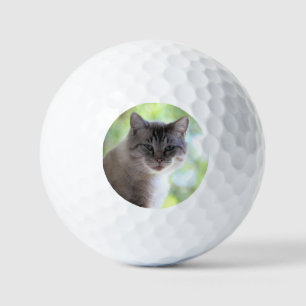 Cat Golf Balls