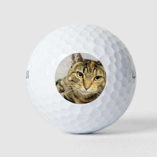 Cat Golf Balls (Front)