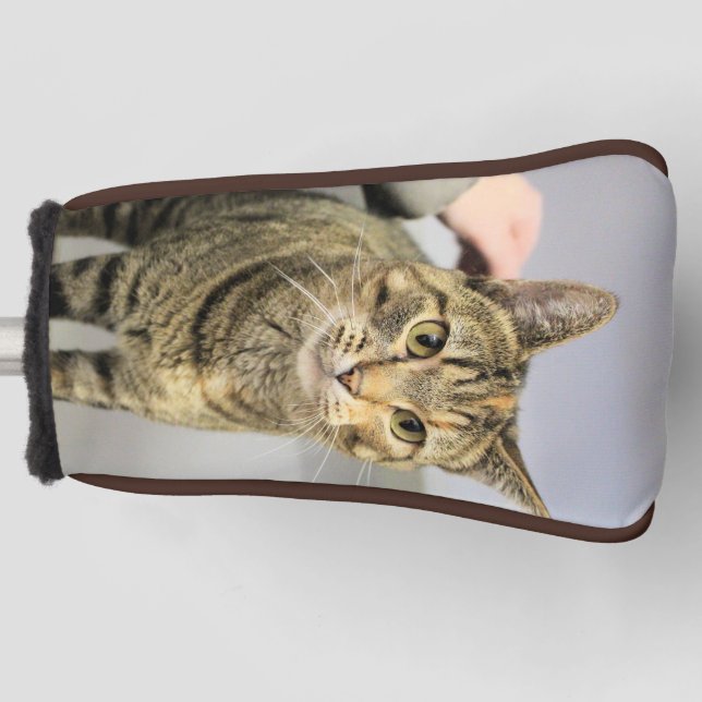 Cat Golf Head Cover (Front)