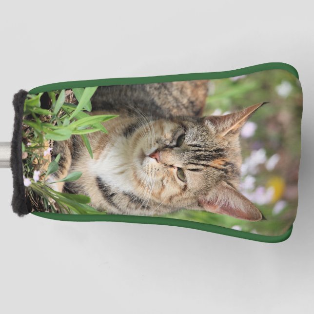 Cat Golf Head Cover (Front)