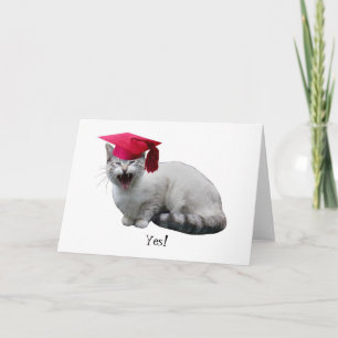 Cat Graduation Card
