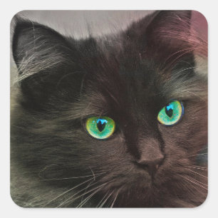 Cat Green Eyes Square Sticker