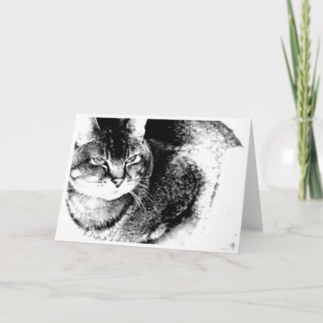 Cat Greeting Card (Front)