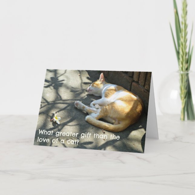 Cat Greetings Card - What Greater Gift? (Front)