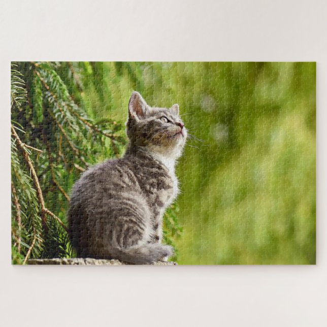 Cat Grey Kitten with a Green Pine Tree Jigsaw Puzzle (Horizontal)
