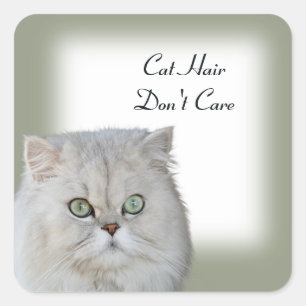 Cat Hair Don't Care Stickers