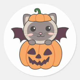 Cat Halloween Pumpkin Bat Costume Classic Round Sticker