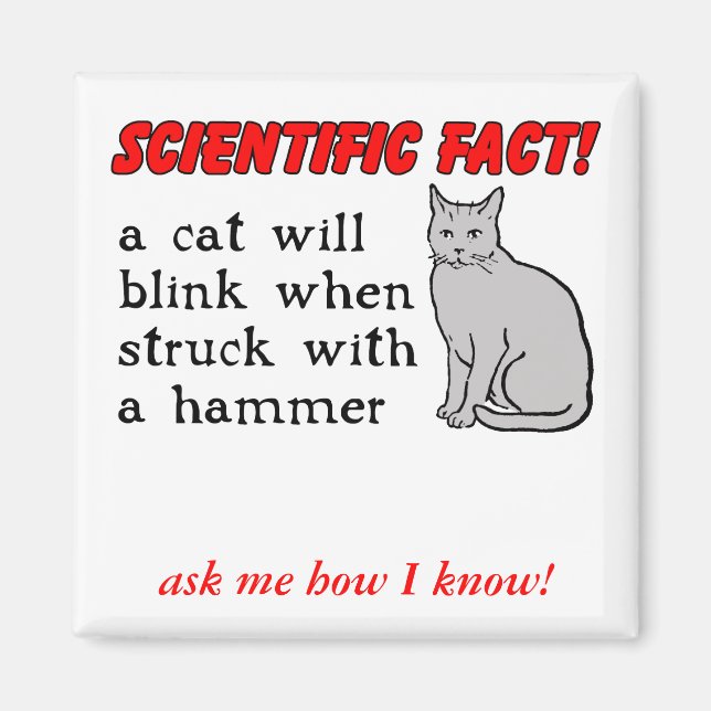 Cat Hammer Funny Magnet Humour (Front)