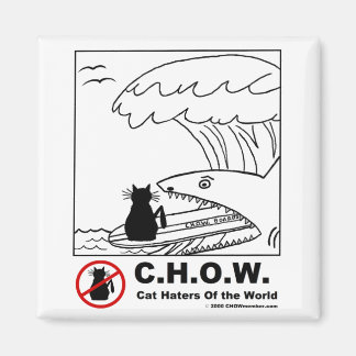 Cat Haters Surfing Magnet