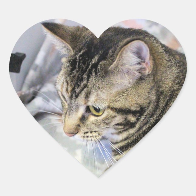 Cat   heart sticker (Front)