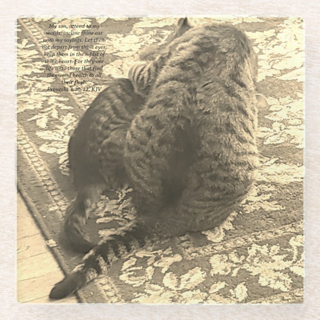 Cat Helping Kitten Coaster (Front)
