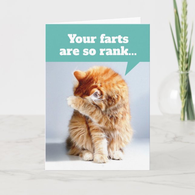 Cat Holding Nose Due To Smelly Farts Birthday Card (Front)