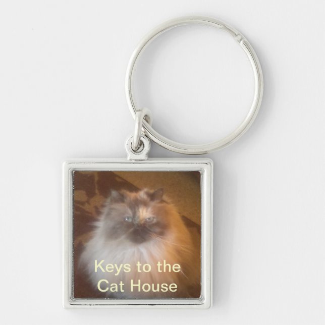 Cat House Keychain (Front)