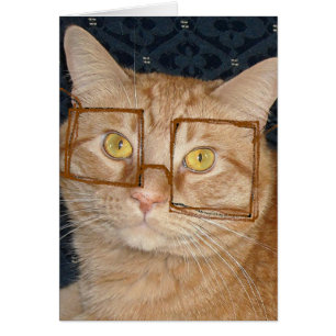 Cat humour
