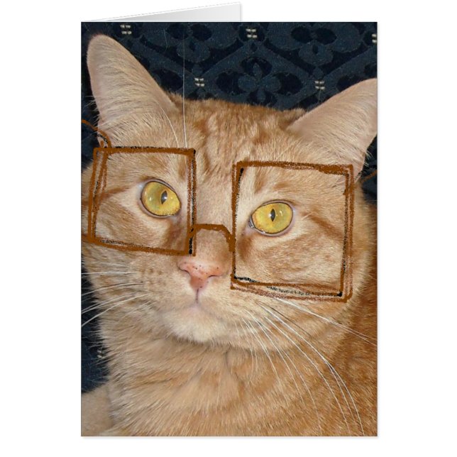Cat Humour (Front)
