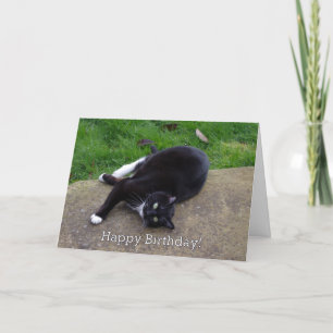 Cat Humour Birthday Card