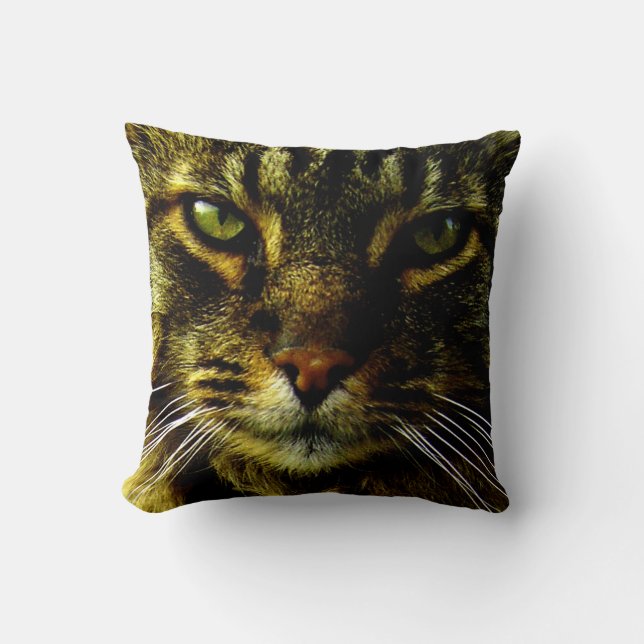 Cat Hypnitizing Eyes Photo Throw Pillow (Front)