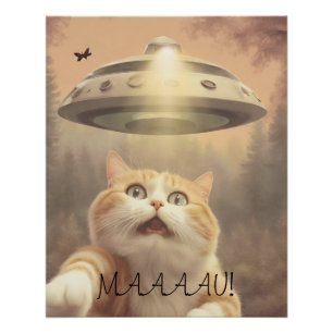Cat I Believe UFO Wall Poster Art