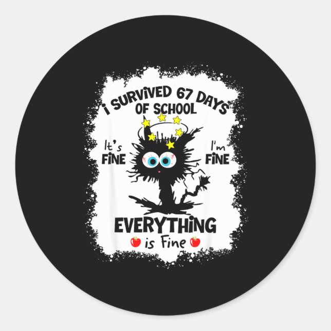 Cat I Survived 67 Days Of School Teachers Students Classic Round Sticker (Front)