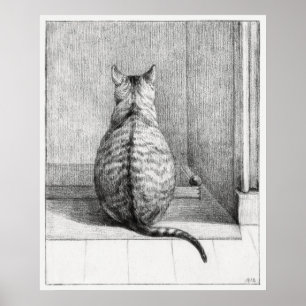 Cat illustration poster